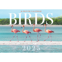 Birds - 2025 Rectangle Wall Calendar 16 Months Hanging Animal Planner New Year