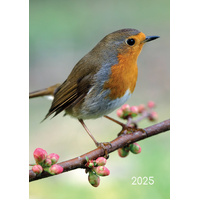 Birds 2025 A5 Padded Cover Diary Premium Animal Planner Christmas New Year Gift