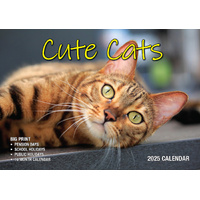 Cute Cats - 2025 Rectangle Wall Calendar 16 Months Planner Animal Pets Photos