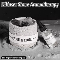 Crystal Stone Oil Diffuser Passive Aromatherapy Set White Natural Bedroom Decor - Blue Bellflower