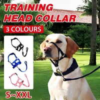 Black Dog Training Head Collar Halter Stop Pulling Training Tool Harness Strap Leader - S