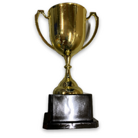TROPHY CUP Sport Award Football School Table Tennis Gold Winner Achievement