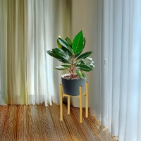 Metal Plant Stand Adjustable Indoor