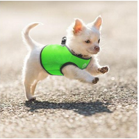 Vest Harness Pet Dog-Cat Step-in Velcro and Buckle Attachments - Moondidley Pets Small Green