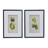 Set 2 Botanical Wall Decor 70cm