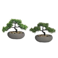 Set 2 Artificial Bonsai in Ceramic Pot Assort 30cm