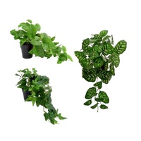 Set 3 Artificial Peacock in Pot Assort 38cm