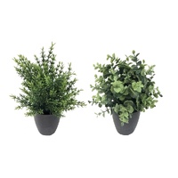 Set 2 Artificial Grass in Pot Assort 25cm