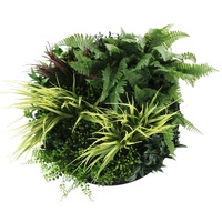 Slimline Artificial Green Wall Disc Art 50cm Grassy Fern Fields UV Resistant (Black)