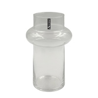 bulk 12 Tina Glass Vase Limited Batch 10x25cm
