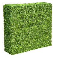Mixed Boxwood Hedge UV Resistant 100cm Long x 100cm High