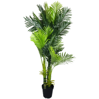 Multi Trunk Hawaii Palm 180cm