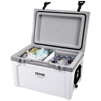 Insulated Portable Cooler, 49 L, Holds 50 Cans, Ice Retention Hard Cooler with Heavy Duty Handle, Ice Chest Lunch Box for Camping, Beach, Picnic, Trav