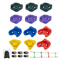 VEVOR Ninja Tree Climbing Kit, 12 Tree Climbing Holds, 6 Ratchet Straps, and a Climbing Ladder, Climbing Rocks for Kids and Adults Climber, Various Co