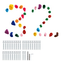 VEVOR 32 Rock Climbing Holds, Multi-Size and Multi-Colored Climbing Rocks for Kids and Adults, Rock Wall Holds with Mounting Hardware, Climbing Wall G