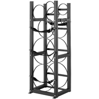 VEVOR Refrigerant Tank Rack, with 2 x 30lbs and Other 3 Small Bottle Tanks, Cylinder Tank Rack 12.79x12.99x47.12 in, Refrigerant Cylinder Rack and Hol