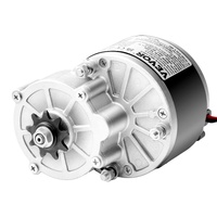 250W Electric Powerful DC Motor Kit - 24V 2700rpm Brushed Motor with Upgraded Speed Controller, Throttle Grip Kit for Go Karts E-Bike Motorcycle Scoot