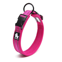 Heavy Duty Reflective Dog Collar - Pink, XS - Model-1C7550