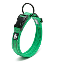 Heavy Duty Reflective Dog Collar - Green, 2XL - Model-4F8CA9