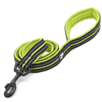 Reflective Pet Leash 2m - Yellow, L - Model-F40832