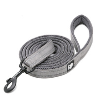 Reflective Pet Leash 2m - Grey, L - Model-DC5FD3