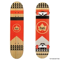 Maple TGT 31-inch Masters Series Popsicle Skateboard - Kids