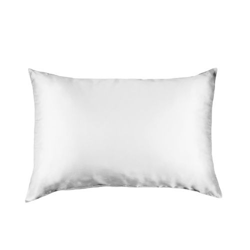 Pure Silk Pillow Case by Royal Comfort-Silver - Model-071687