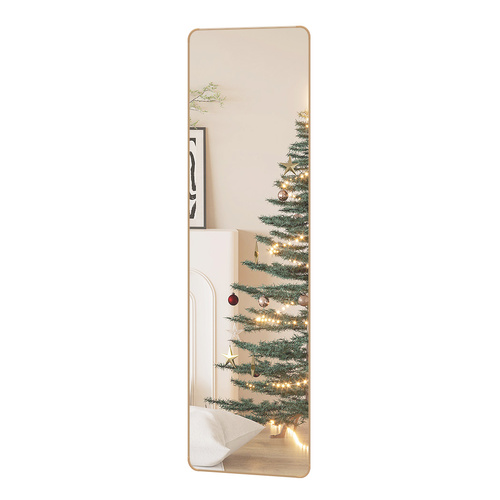 Wall Mounted Full Length Mirror - Model-B62175