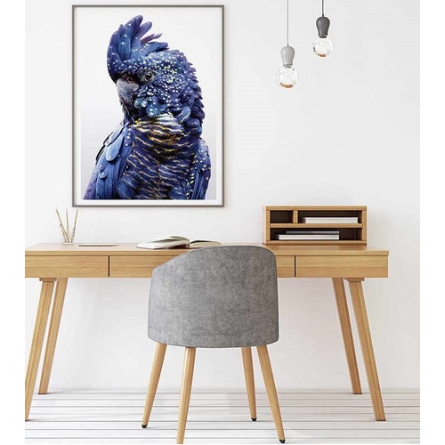 Black Cockatoo A Black Frame Canvas Wall Art