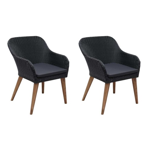 Outdoor Chairs with Cushions 2 pcs Poly Rattan