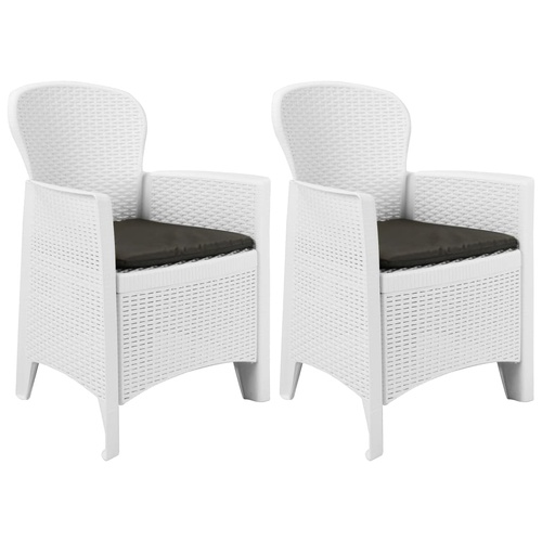 Garden Chairs 2 pcs with Cushion Plastic Rattan Look