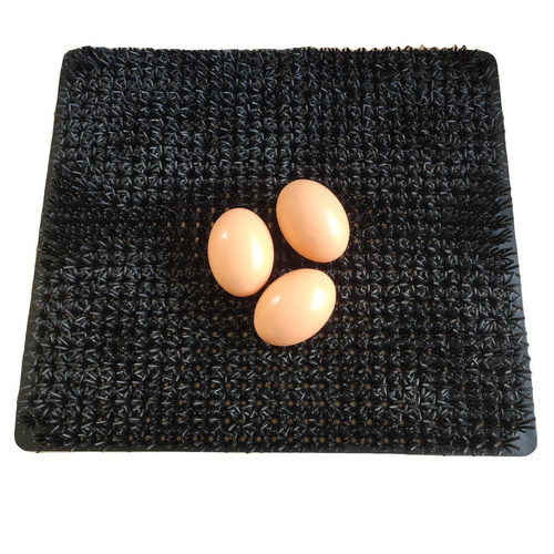 Cheeky Chooka Nesting Box Egg Mat
