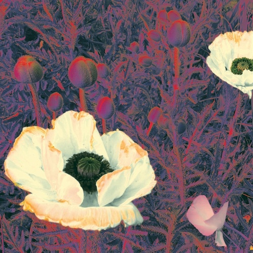 Sunlight Might Weigh Even More - Green Pajamas Cd Album