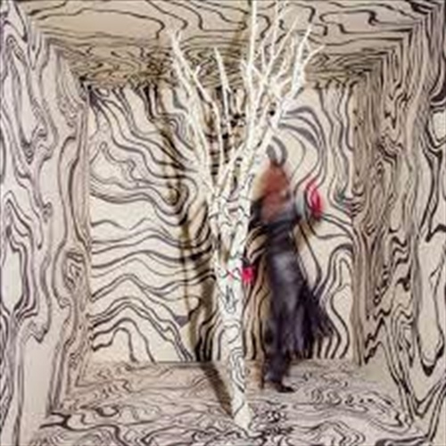 Revealer - Cunningham, Madison Cd Album