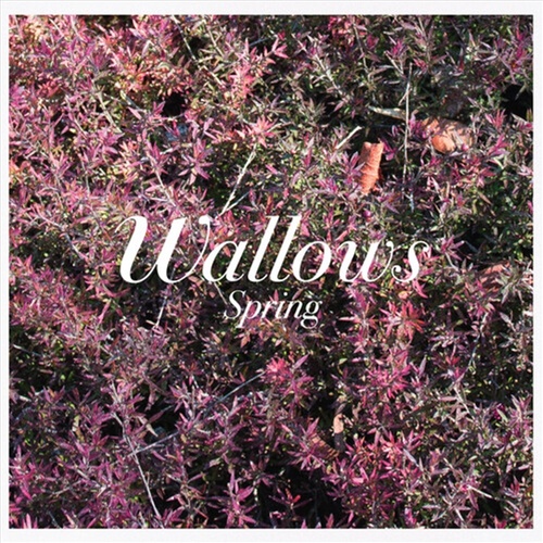 Spring - Wallows Cd Album