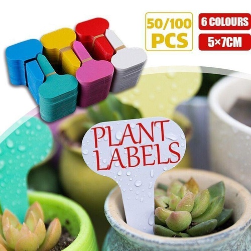 T Plant Labels 50-100Pcs 6 Colours Garden Stakes Markers Tags Nursery Seedling - Pink