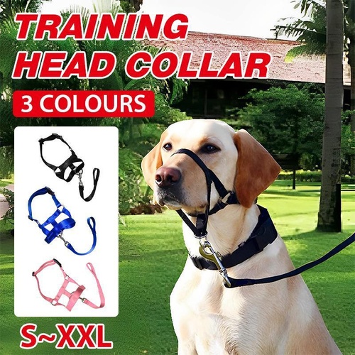 Black Dog Training Head Collar Halter Stop Pulling Training Tool Harness Strap Leader - XL