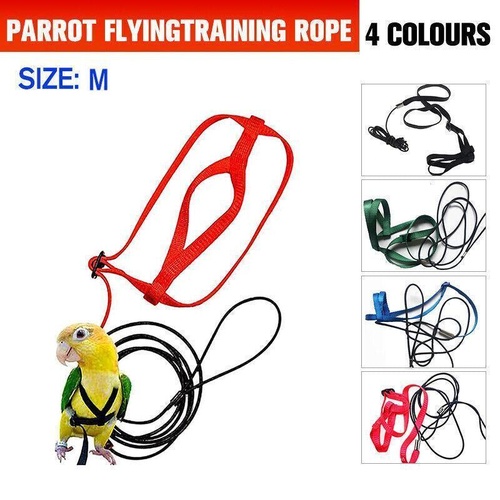 M Pet Parrot Bird Harness Lead Leash Flying Training Rope Cockatiel Outdoor - Green