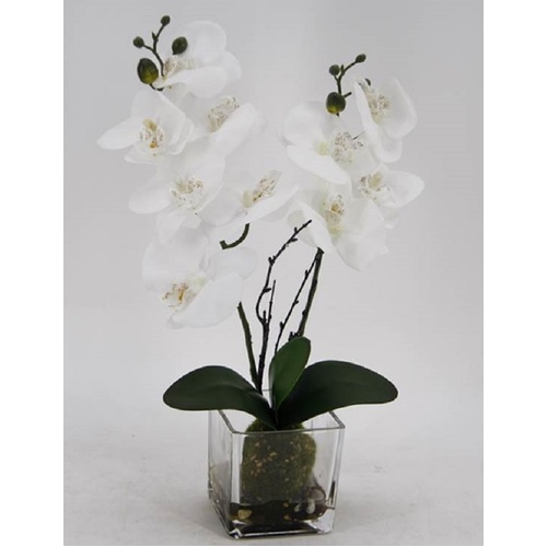 Artificial Orchid in Glass Pot 10x45cm