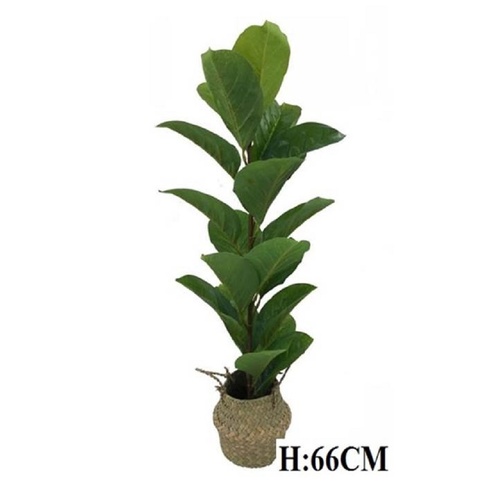 Artificial Decorative Plant in Basket Tree 66cm