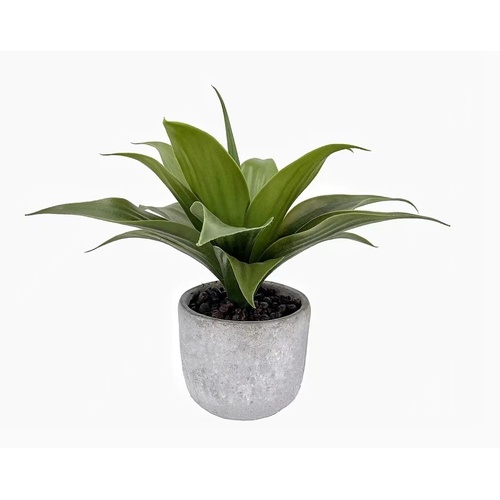 Artificial Aloe Vera in Cement Pot 36cm