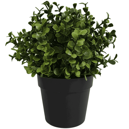 Small Potted Artificial Buxus Plant UV Resistant 20cm