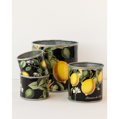 tin-planter-lemons-set-of-4